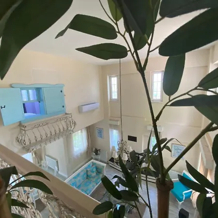Splendid With Private Pool And Fireplaces Surrounded By Nature In Sapanca *