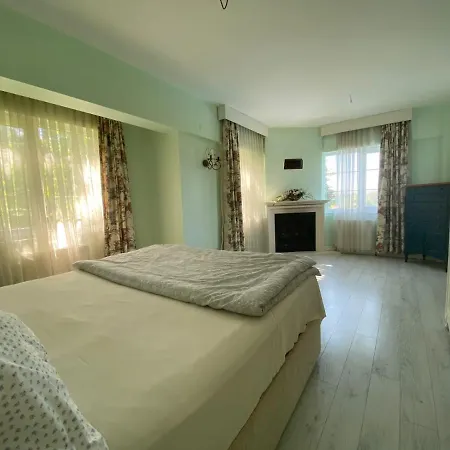 Splendid With Private Pool And Fireplaces Surrounded By Nature In Sapanca Sakarya (Marmara)