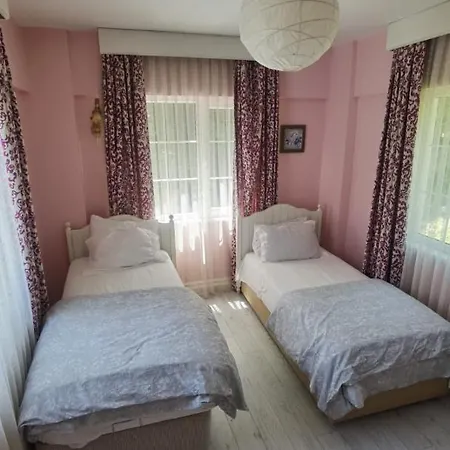 Splendid With Private Pool And Fireplaces Surrounded By Nature In Sapanca